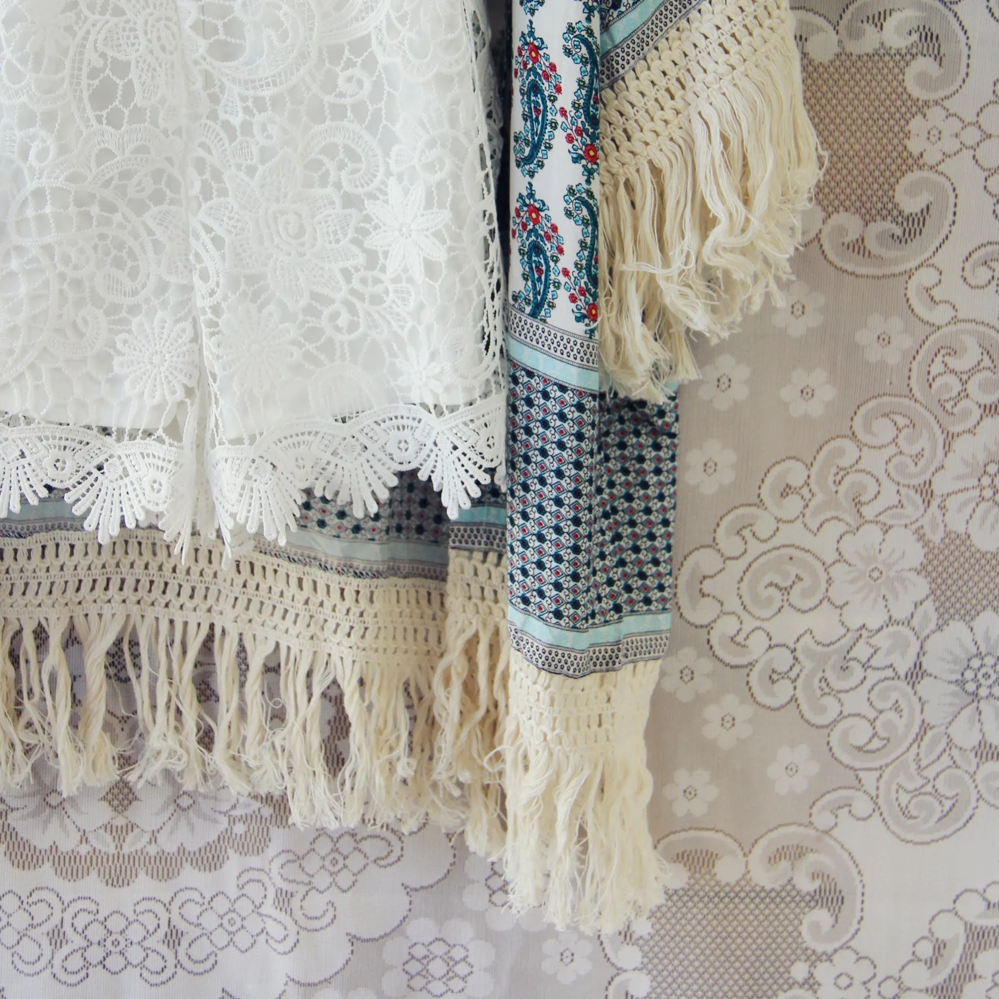 Aster Moon Duster (wholesale)