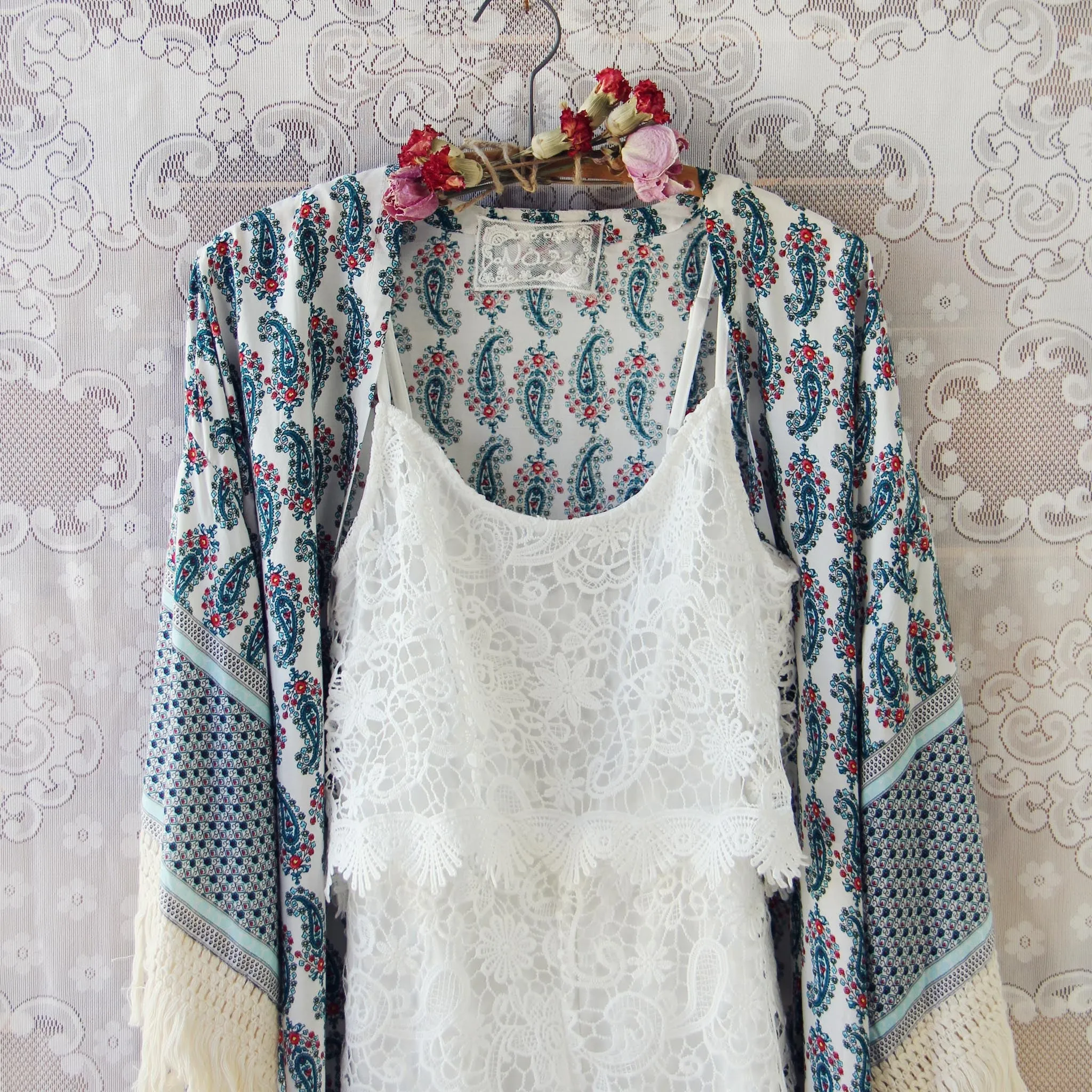 Aster Moon Duster (wholesale)