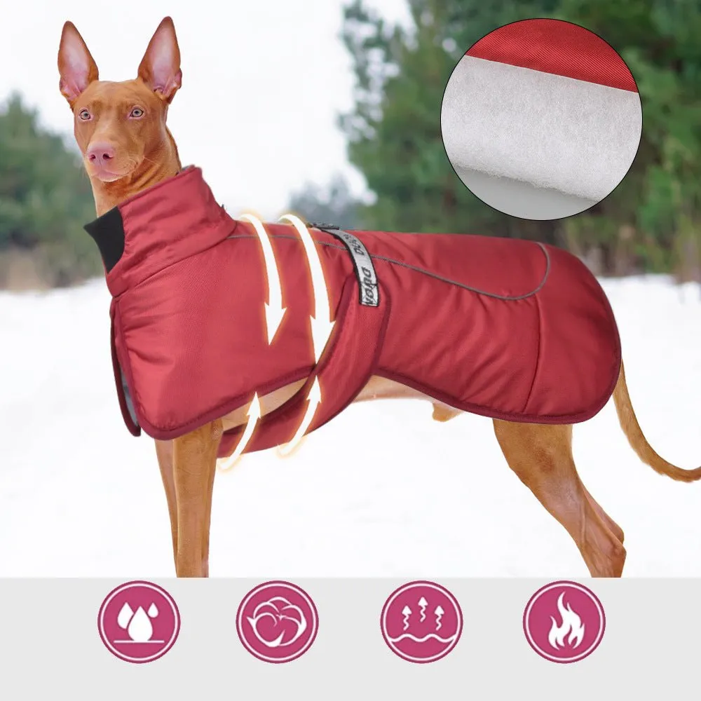 Autumn And Winter New Dog Clothes- Thicked Warm Big neDog Clothes -Reflective Cotton jackets